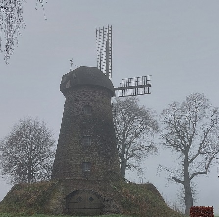 Dammer Mühle - 2022